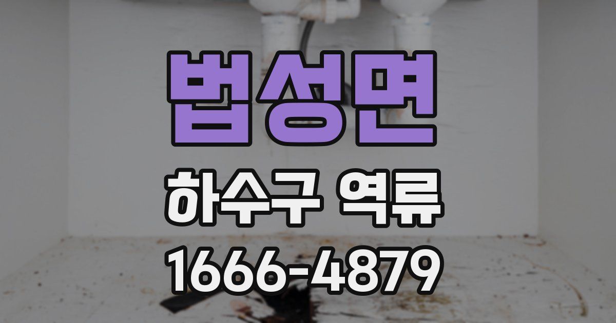 법성면 하수구 역류