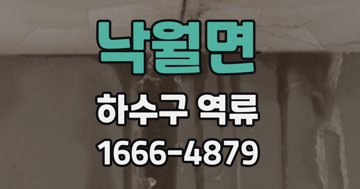 낙월면 하수구 역류