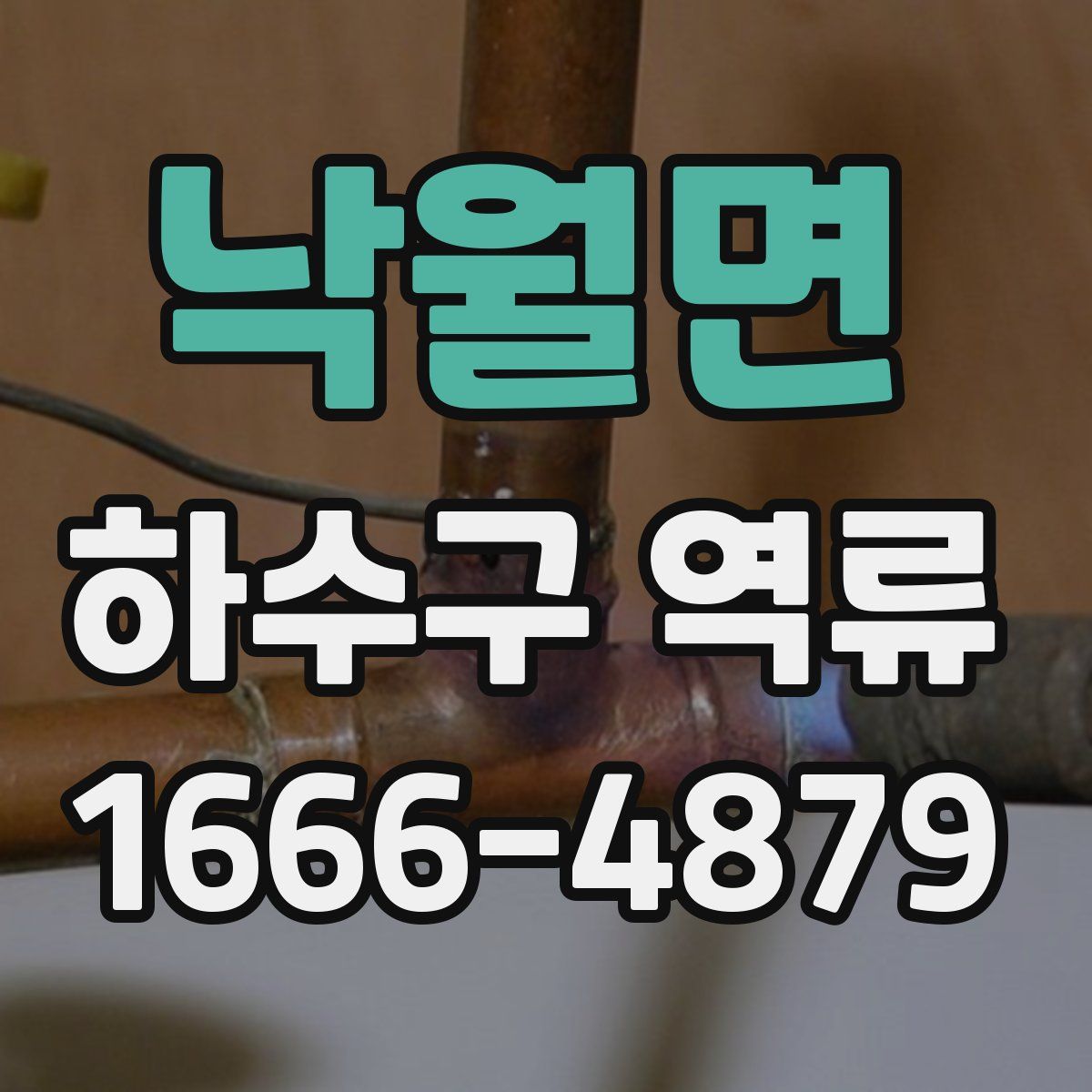 낙월면 하수구 역류