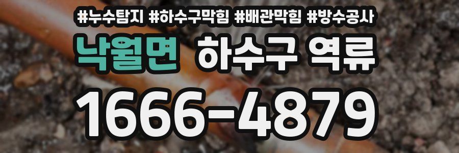 낙월면 하수구 역류