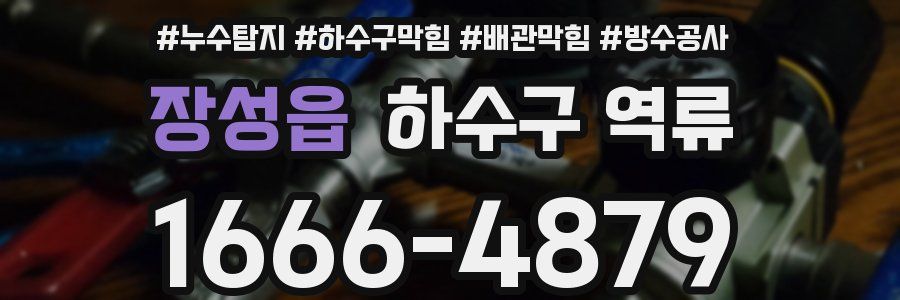 장성읍 하수구 역류