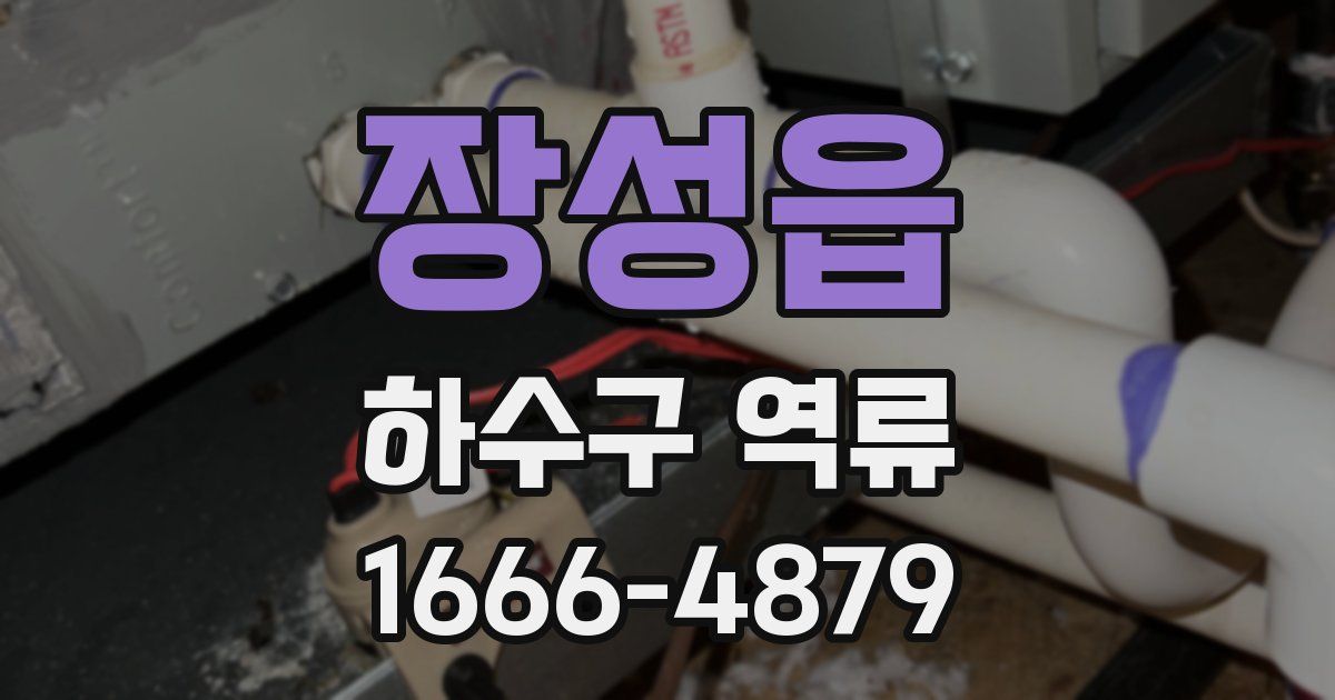 장성읍 하수구 역류
