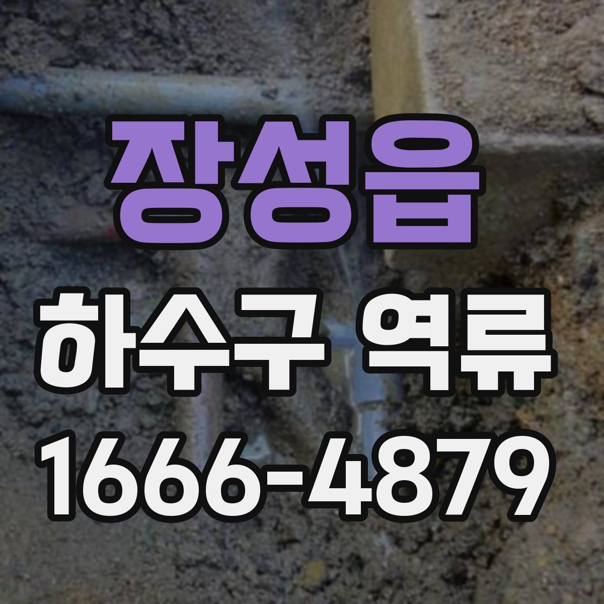 장성읍 하수구 역류