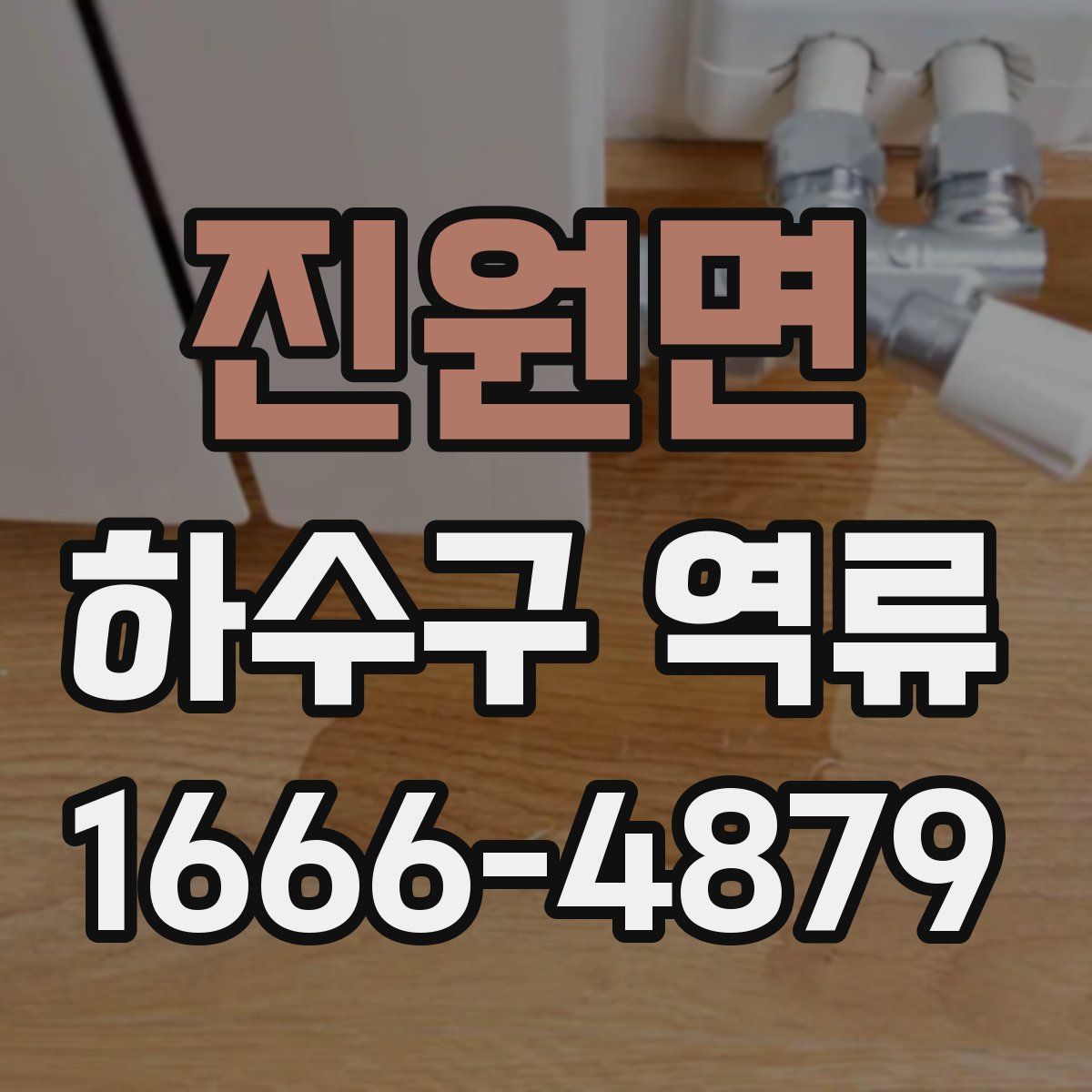 진원면 하수구 역류