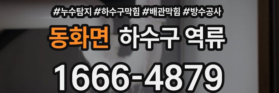 동화면 하수구 역류