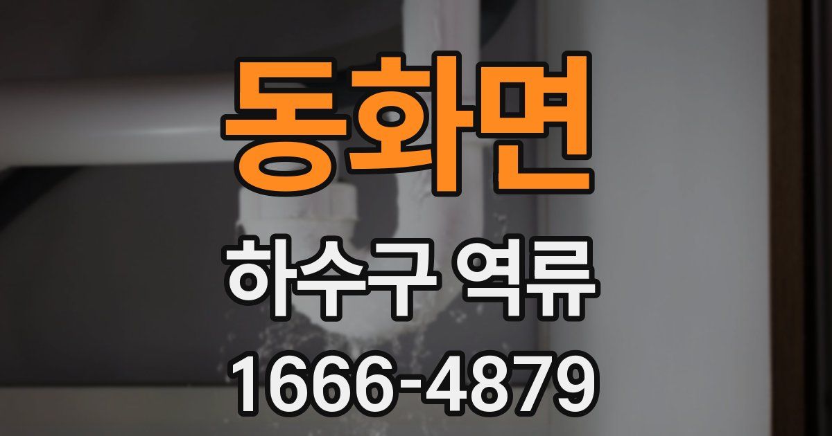 동화면 하수구 역류