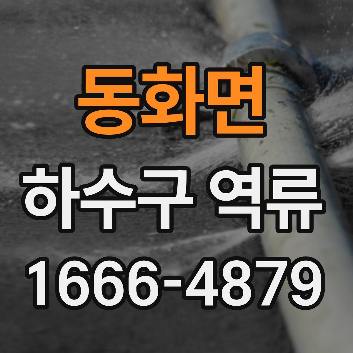 동화면 하수구 역류