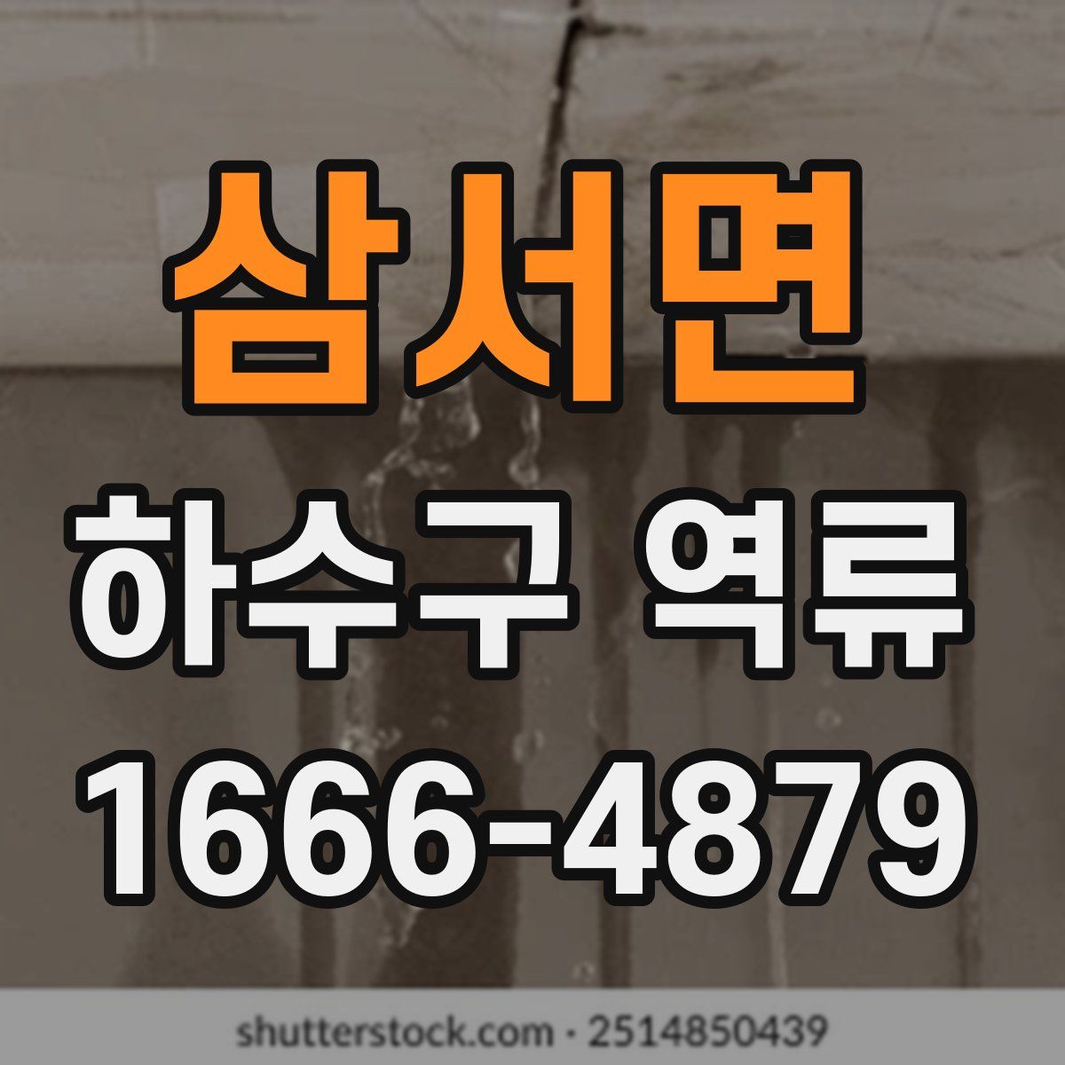 삼서면 하수구 역류