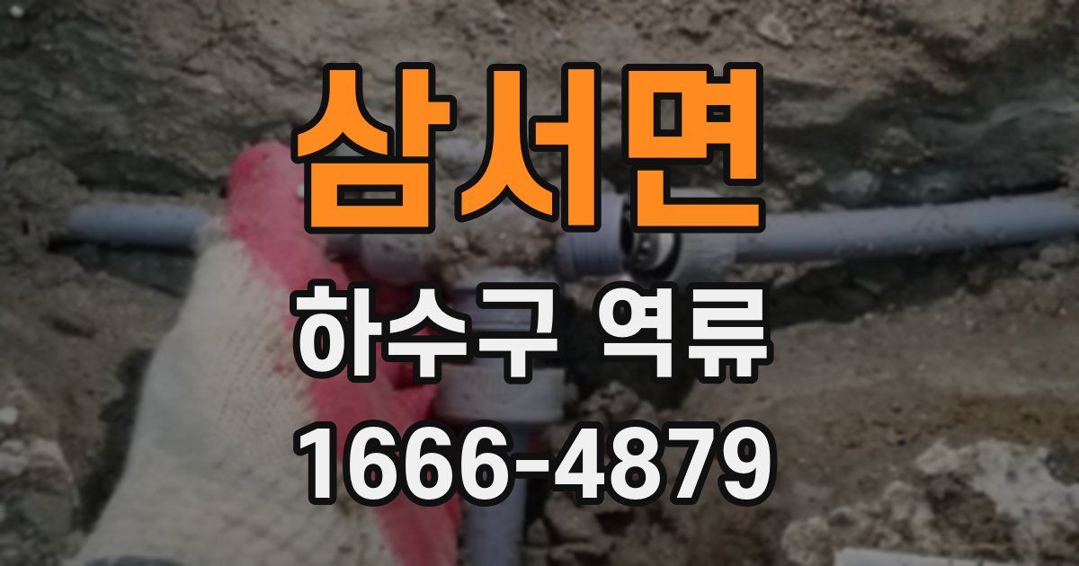 삼서면 하수구 역류
