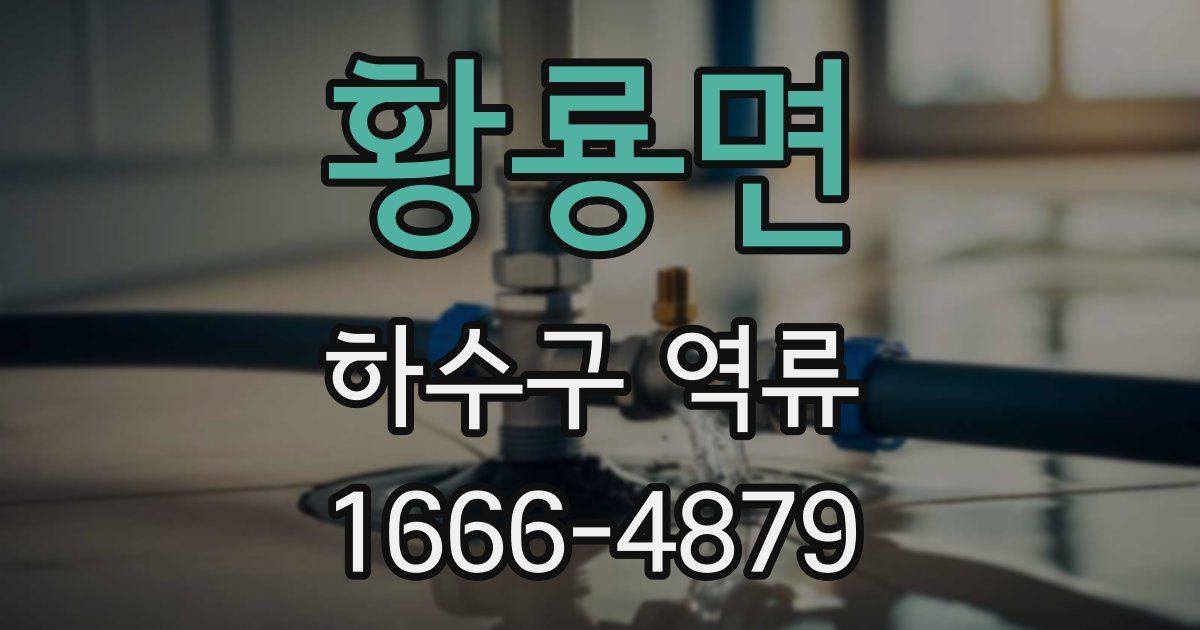 황룡면 하수구 역류