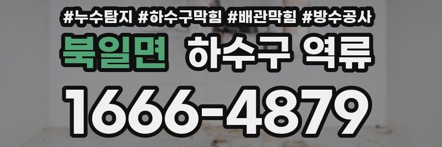 북일면 하수구 역류