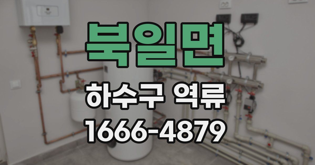 북일면 하수구 역류