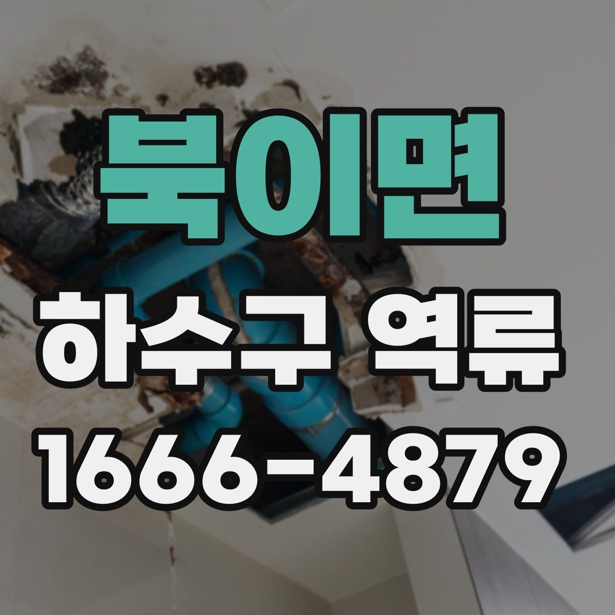 북이면 하수구 역류