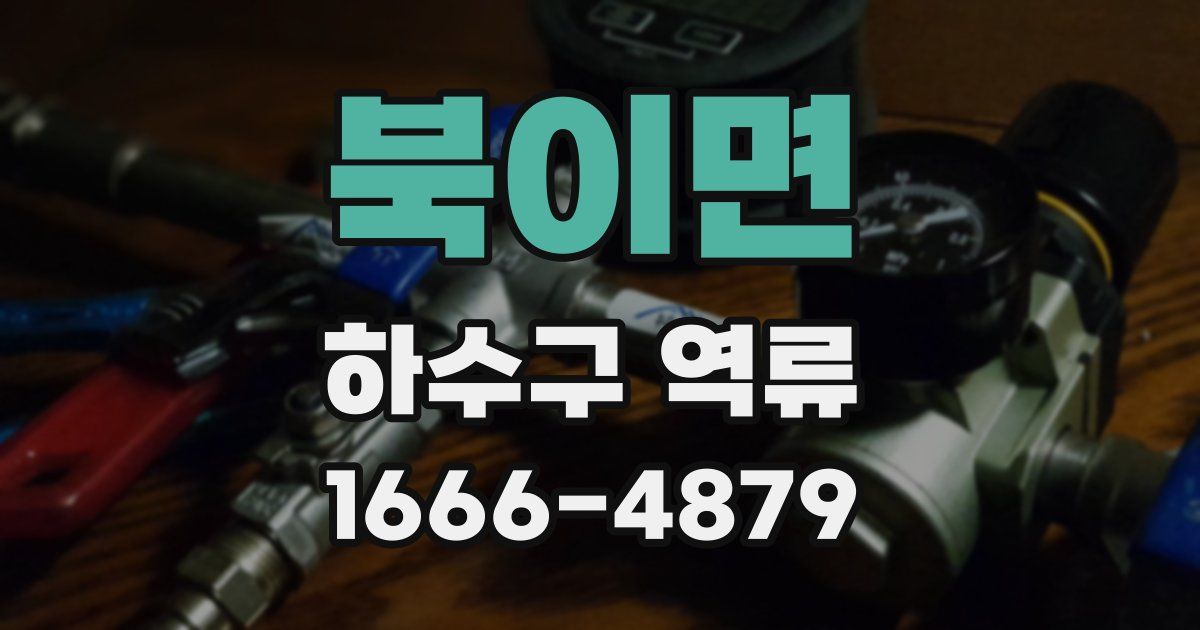 북이면 하수구 역류