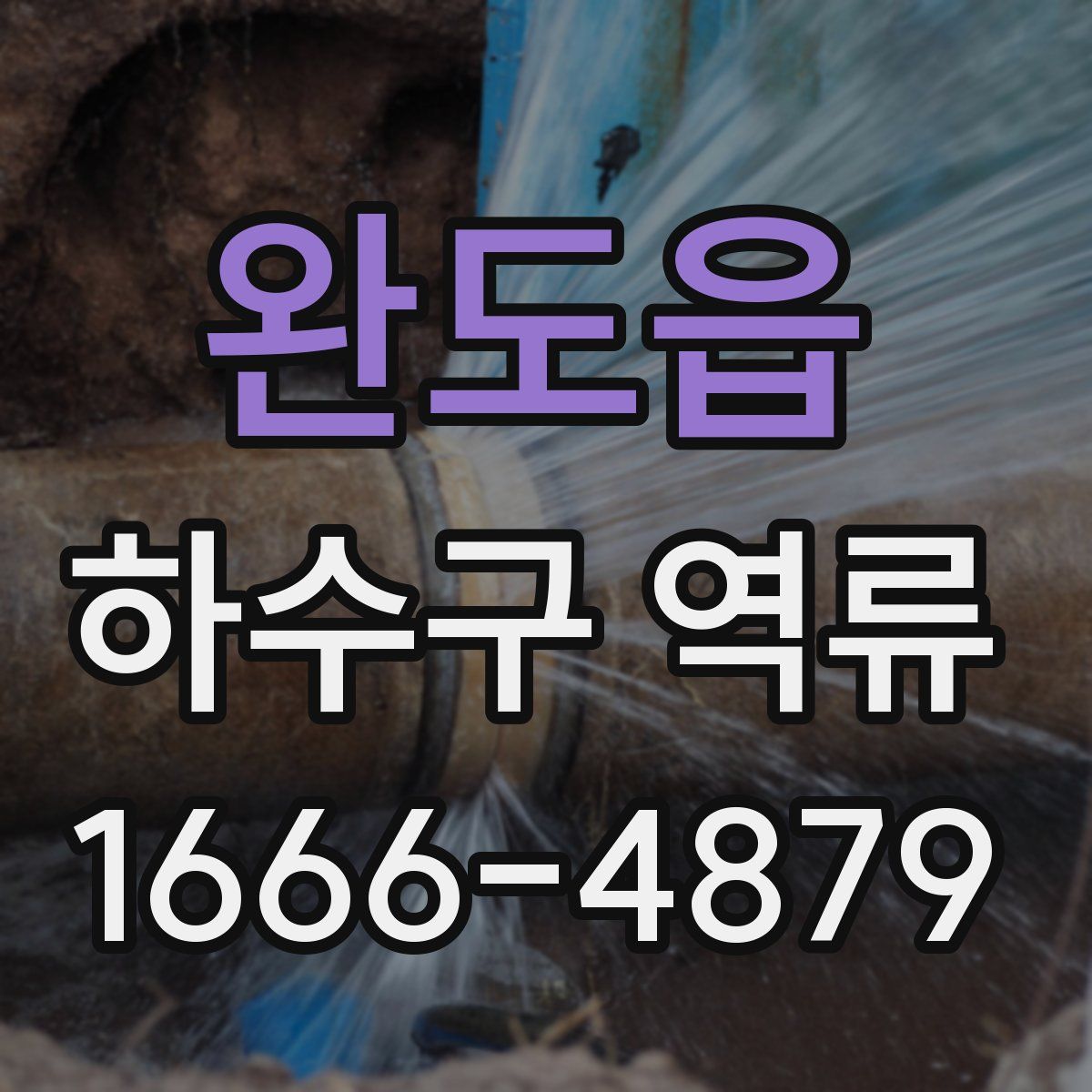 완도읍 하수구 역류