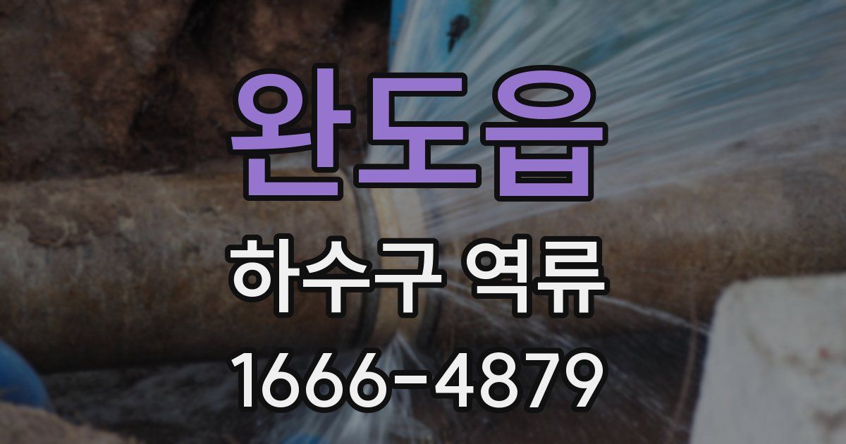 완도읍 하수구 역류