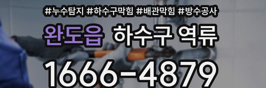 완도읍 하수구 역류