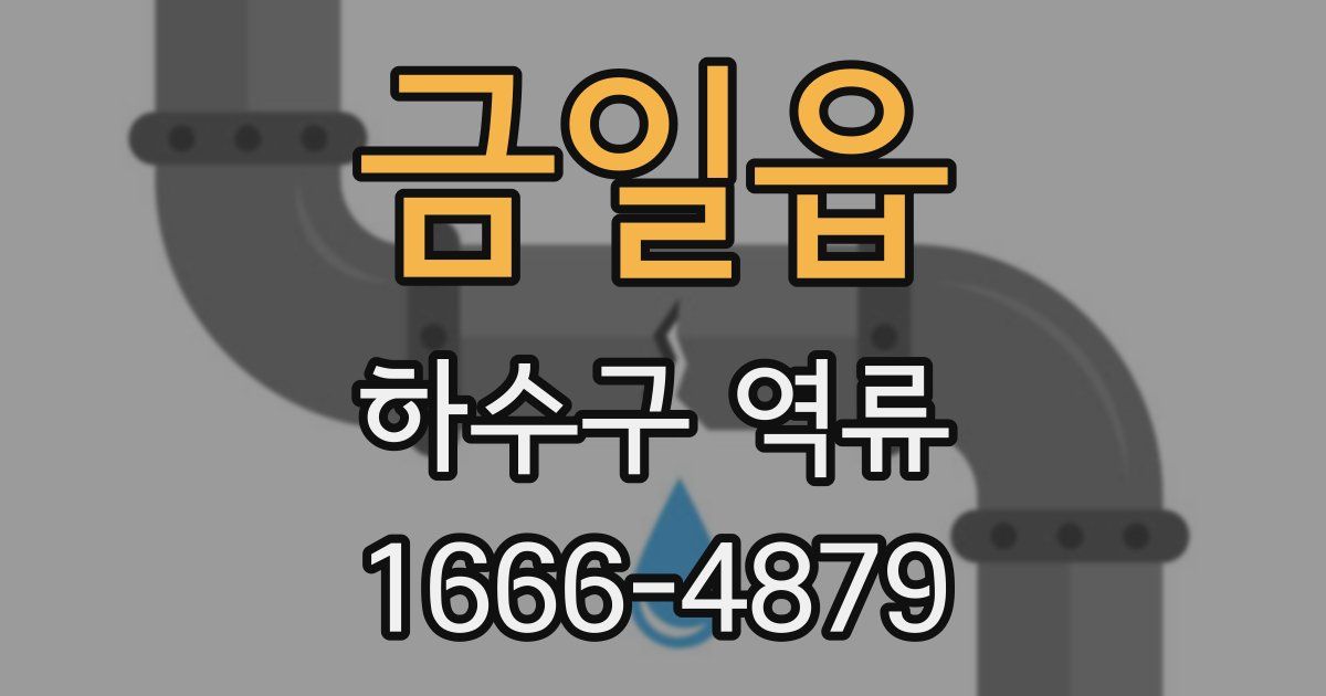 금일읍 하수구 역류