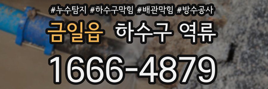 금일읍 하수구 역류