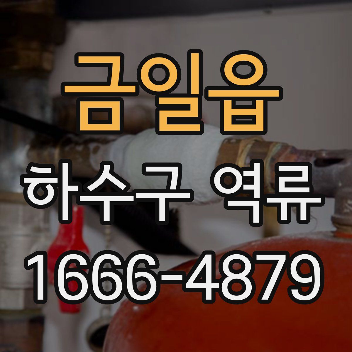 금일읍 하수구 역류