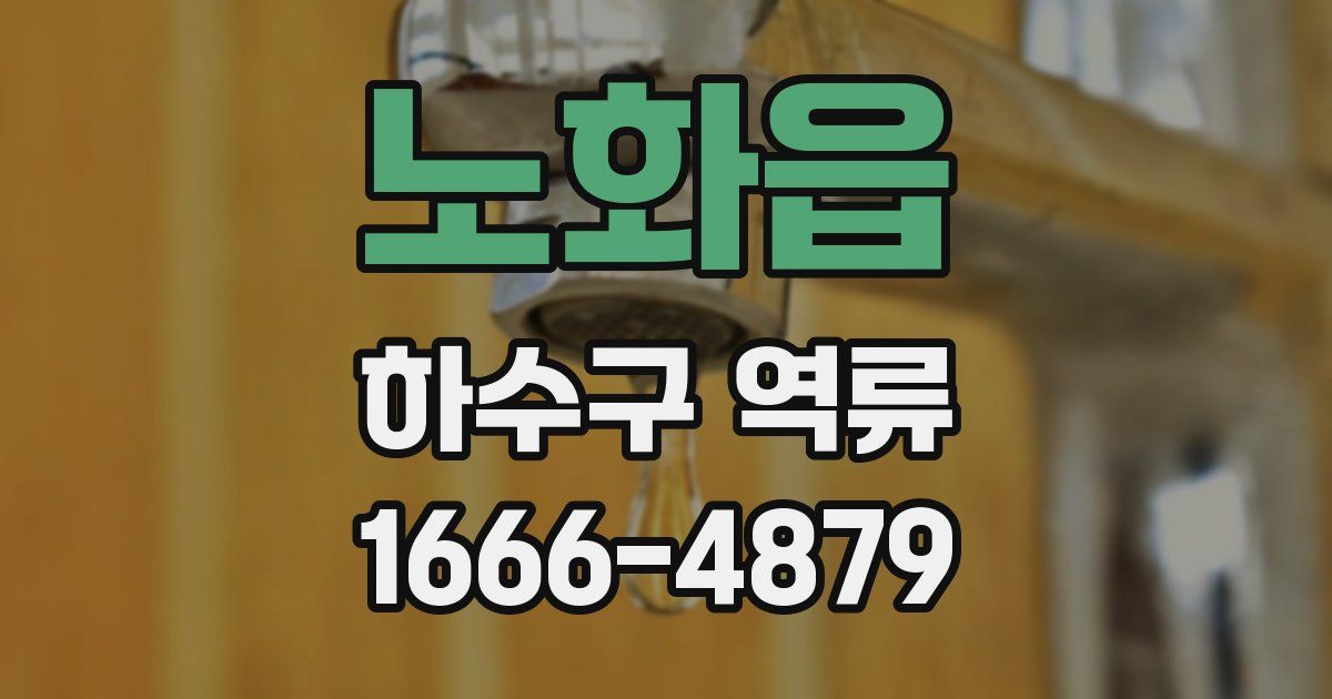 노화읍 하수구 역류