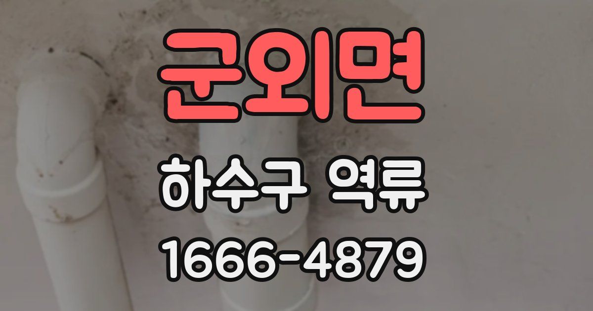 군외면 하수구 역류