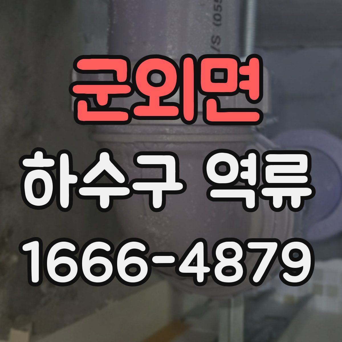 군외면 하수구 역류