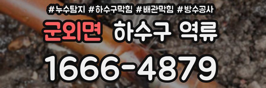 군외면 하수구 역류