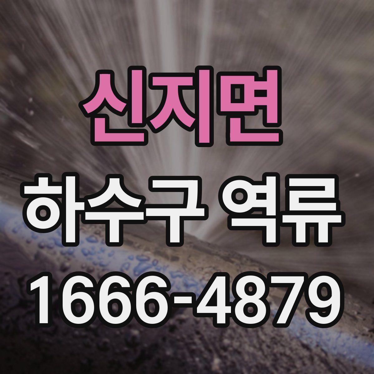 신지면 하수구 역류