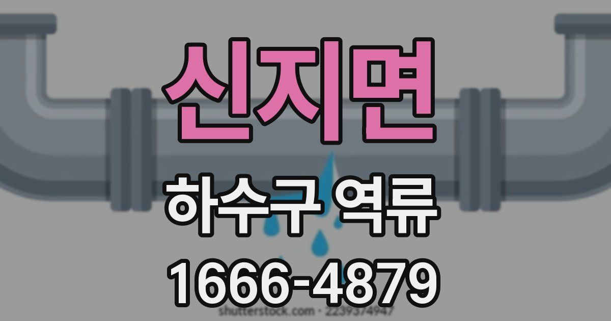 신지면 하수구 역류