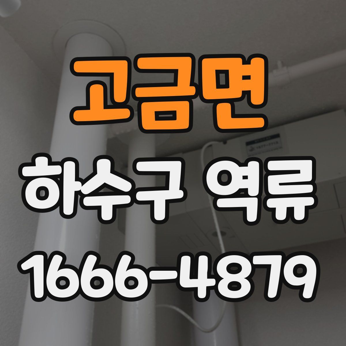 고금면 하수구 역류