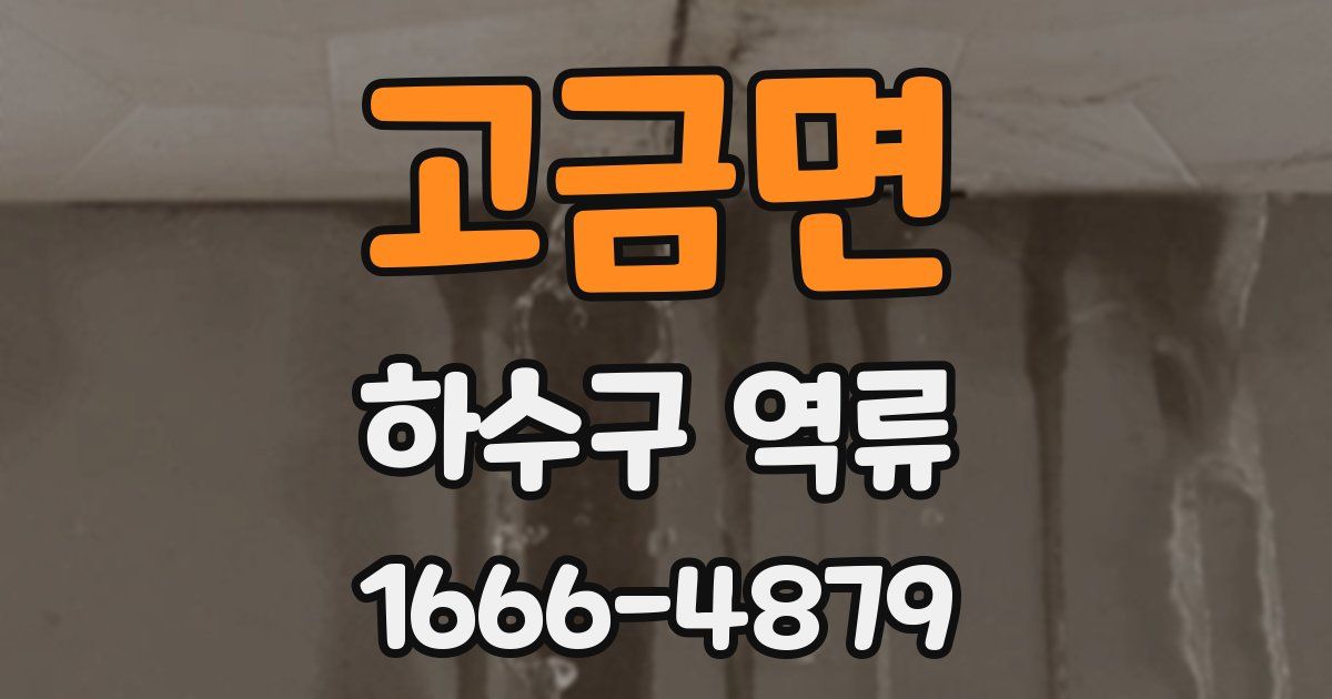 고금면 하수구 역류
