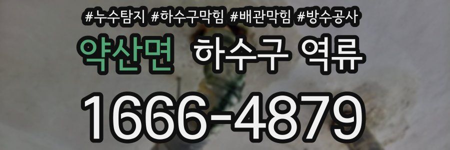 약산면 하수구 역류