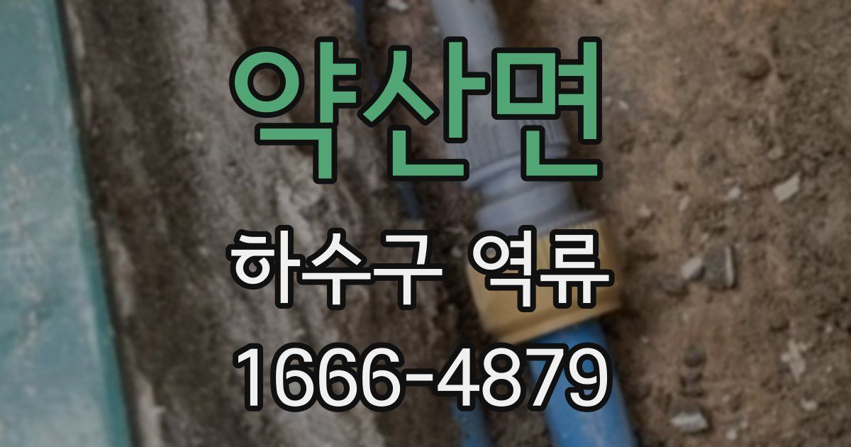 약산면 하수구 역류