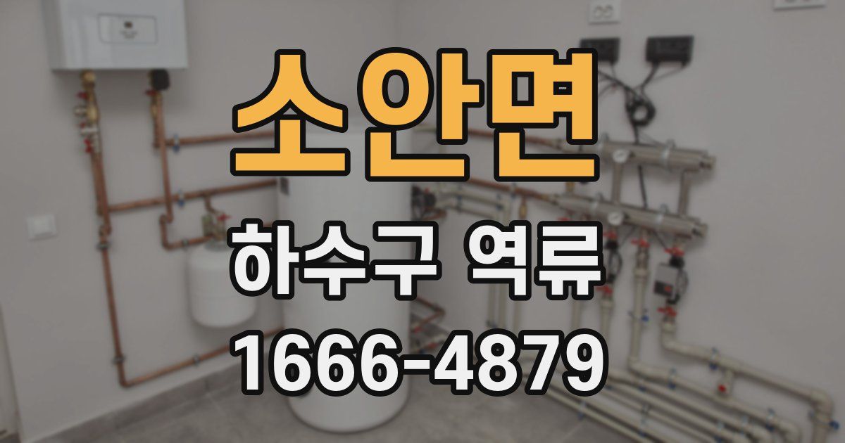 소안면 하수구 역류