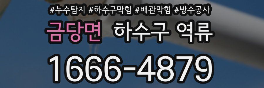 금당면 하수구 역류