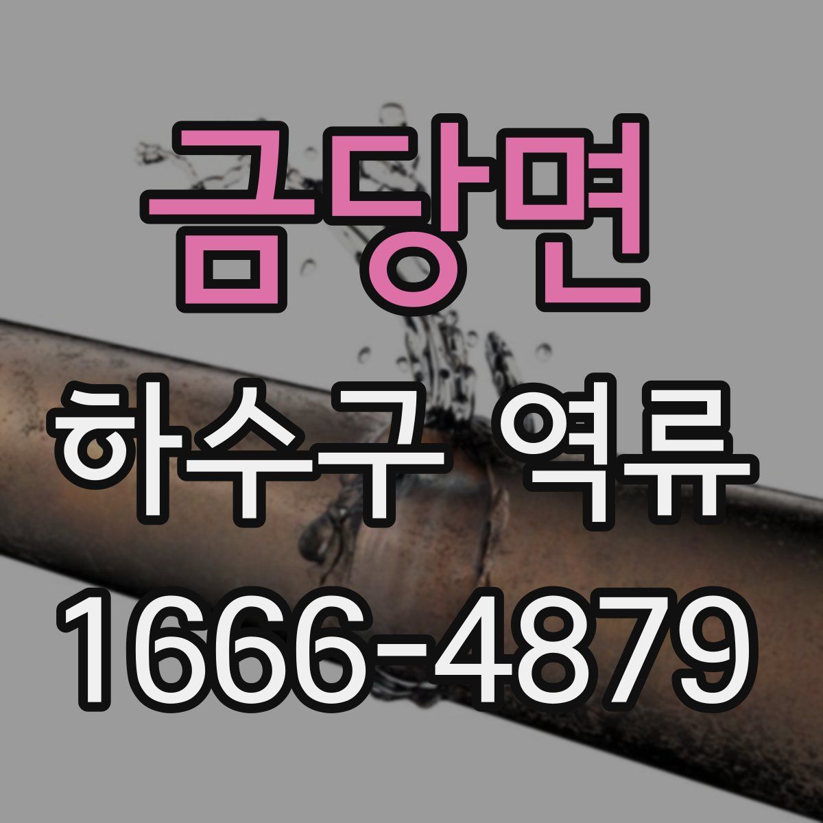 금당면 하수구 역류