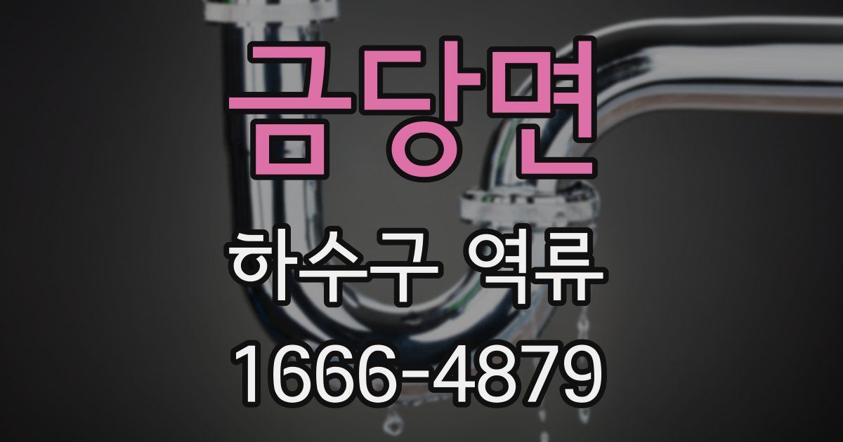 금당면 하수구 역류