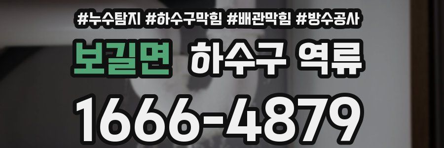 보길면 하수구 역류