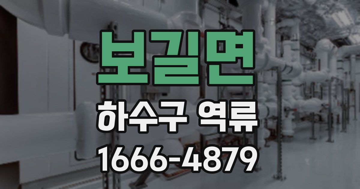 보길면 하수구 역류