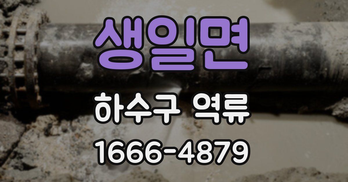 생일면 하수구 역류