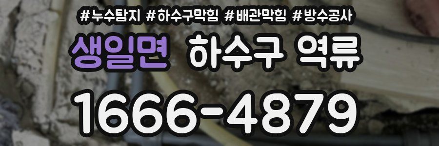 생일면 하수구 역류