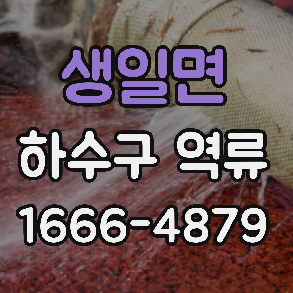 생일면 하수구 역류