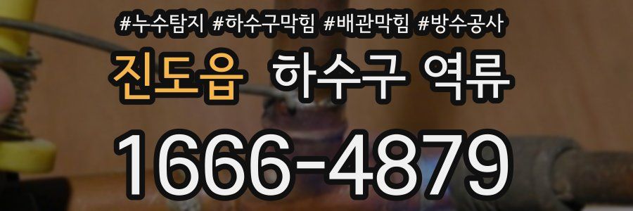 진도읍 하수구 역류