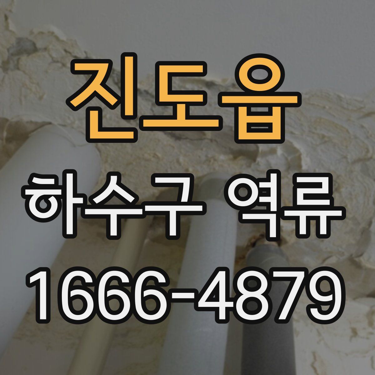 진도읍 하수구 역류