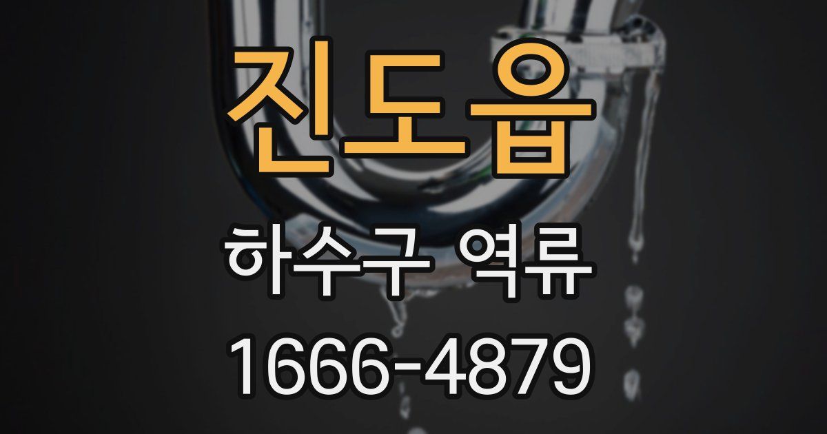 진도읍 하수구 역류