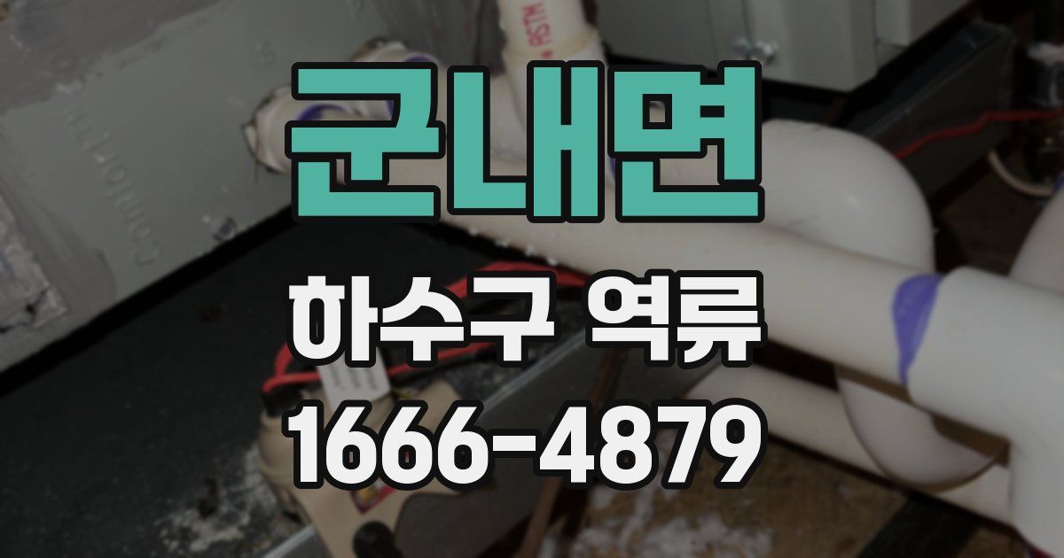 군내면 하수구 역류