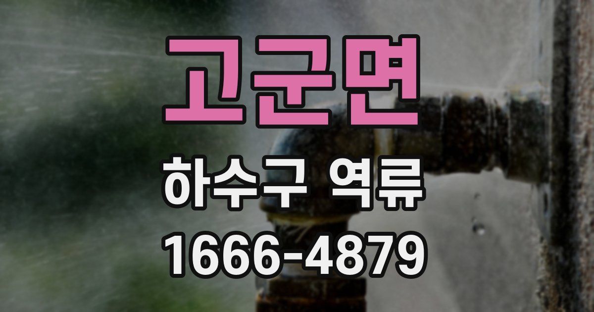 고군면 하수구 역류