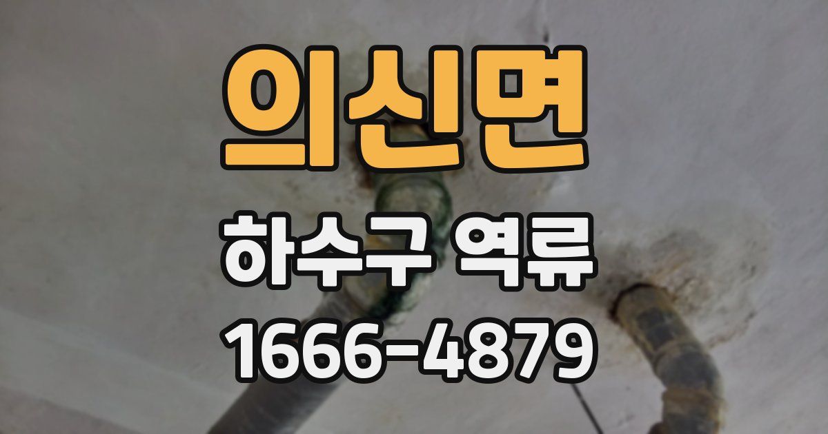 의신면 하수구 역류