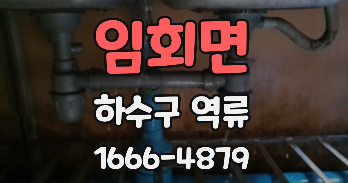 임회면 하수구 역류